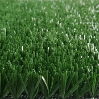 Basketball Grass, Basketball Grass