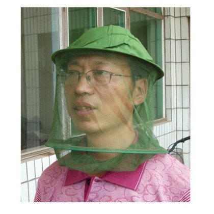 Mosquito Hat, 1199